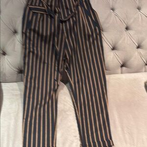 Zara Blue  and Red Striped High-Waisted dress pants